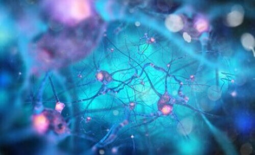Neurony lustrzane