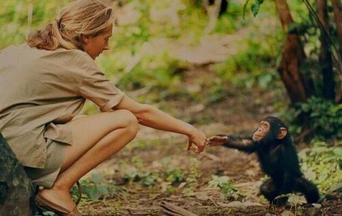 Jane Goodall