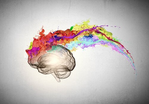 Mózg z kolorami