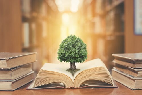 drzewo wyrastające z książki