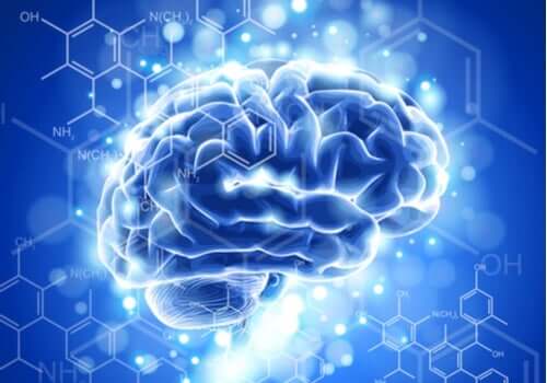 Neuroetyka: najważniejsze cechy i proces rozwoju tej nowej dyscypliny nauki