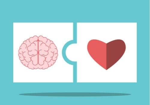 Teoria inteligencji emocjonalnej Saloveya i Mayera - poznaj jej podstawowe założenia