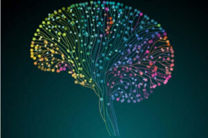 Human Connectome Project: naukowcy zdobywają coraz więcej wiedzy o mózgu