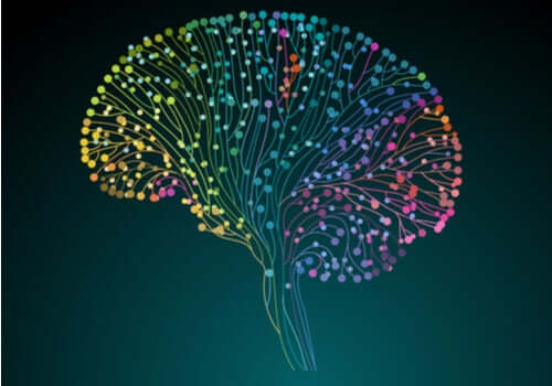 Human Connectome Project: naukowcy zdobywają coraz więcej wiedzy o mózgu