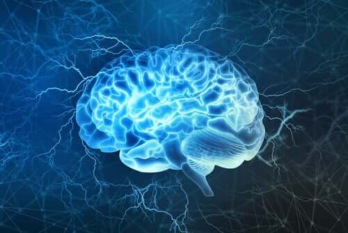 Blue Brain, czyli niebieski mózg 