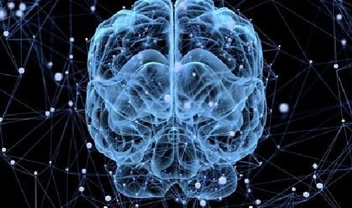 Czy Twój mózg kiedykolwiek zasypia? Zastanawiałeś się nad tym kiedyś?