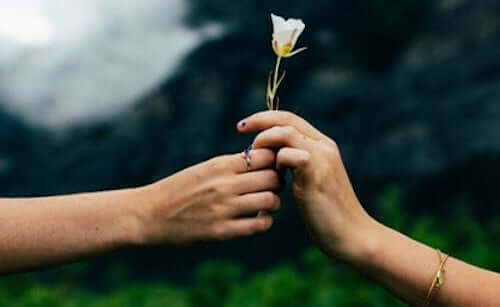 Ręce trzymające kwiat