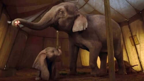 Dumbo - film