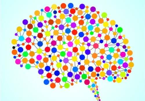 Mózg i 97 nowo odkrytych obszarów - poznaj je bliżej