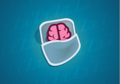 Nasze neurony - czy wiesz, co się z nimi dzieje kiedy śpimy?