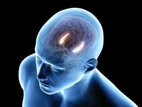 Pamięć deklaratywna i ośrodek w mózgu