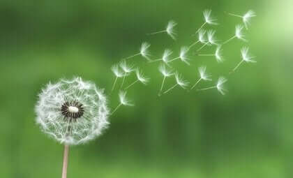 Zasada najmniejszego wysiłku – wykorzystaj ją, aby poradzić sobie ze stresem