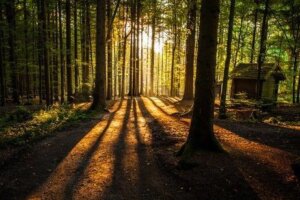 Trzy odpowiedzi: ciekawa i pouczająca opowieść o różnicach