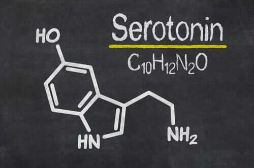 Serotonina to także monoaminy