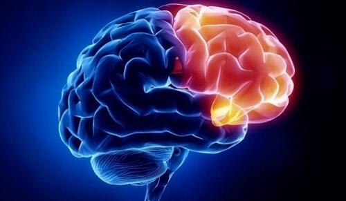 Obszar winy w mózgu