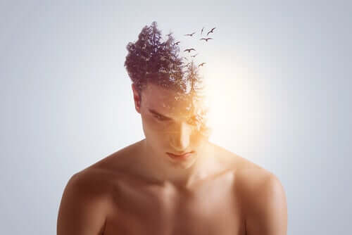 mężczyzna z ptakami w głowie
