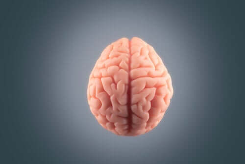 Co dzieje się z mózgiem przed śmiercią?