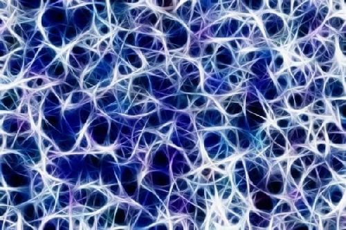 Sieć neuronów