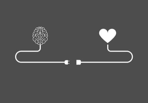 Połączenie mózgu i serca