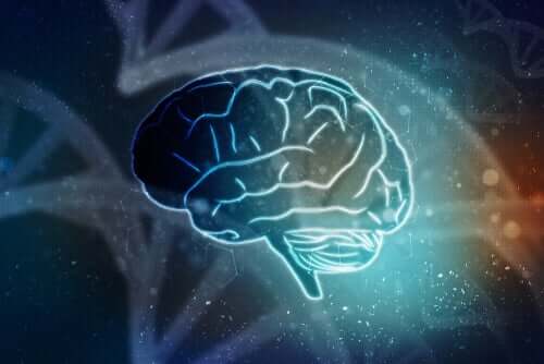 Mózg można wskrzesić bez ciała?