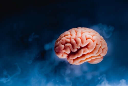 Obraz latającego mózgu