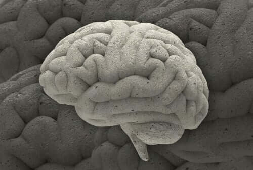 Przypadki neurobiologii - poznaj trzy najbardziej fascynujące