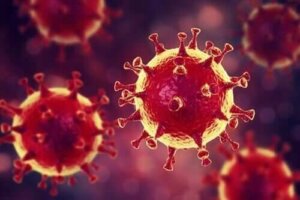 Porady psychologiczne dotyczące koronawirusa: najlepiej jest unikać paniki