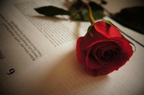 Tirso de Molina – pięć cytatów traktujących o miłości