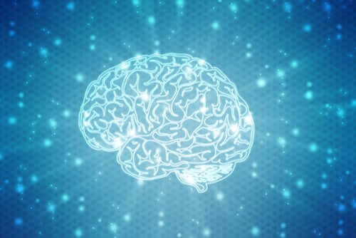 Neuromity - co jest prawdą a co mitem w neurobiologii?
