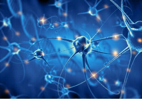 Neurony