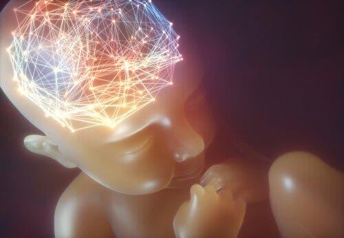 Podświetlony mózg dziecka - synchronizacja neuronalna