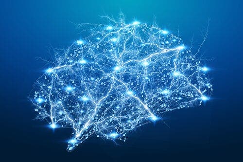 Podświetlony mózg - synchronizacja neuronalna