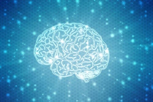 Świecący mózg - proces rehabilitacji neuropsychologicznej