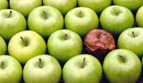 Teoria zgniłego jabłka w miejscu pracy