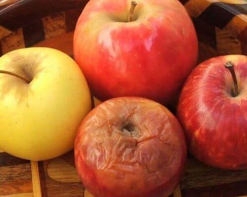 Teoria zgniłego jabłka