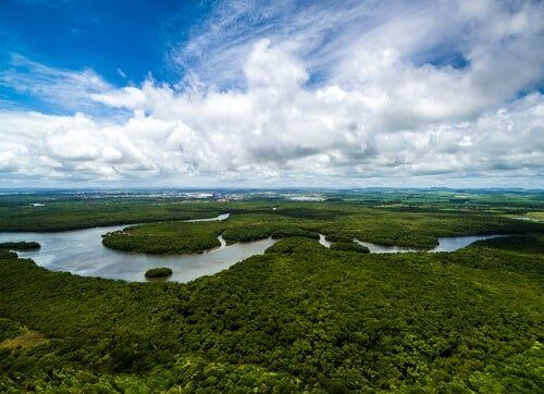 Dorzecze Amazonki