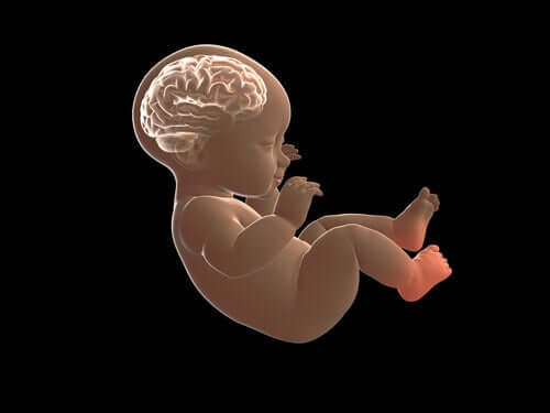 Mózg dziecka