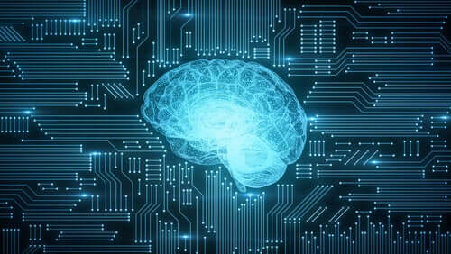 Digitalizacja i jej wpływ na mózg