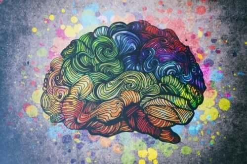 Kolorowy mózg