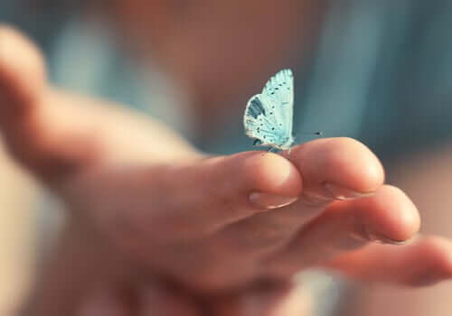 Motyl na dłoni