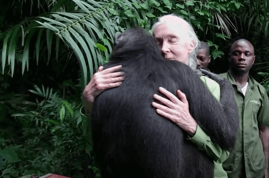 Jane Goodall