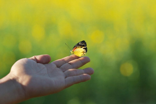 Powrót do życia - nadszedł czas, by się z nim zmierzyć