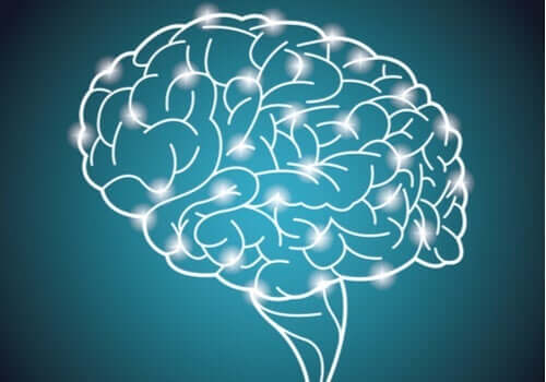 Największy światowy eksperyment dotyczący inteligencji