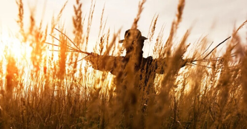 Strategia stracha na wróble w rozwiązywaniu problemów