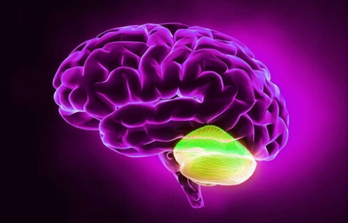 Móżdżek i rozbieżne myślenie: niesamowity związek