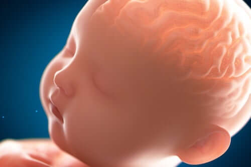 Pachygyria: na czym polega „gładki” mózg?