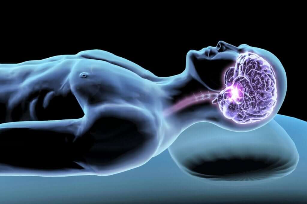 Hormony snu - strażnicy odpoczynku