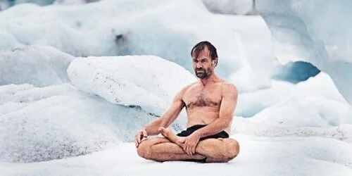 wim hof