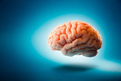 Ciekawostki dotyczące mózgu: 6 zaskakujących faktów