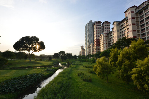 Osiedle i tereny zielone